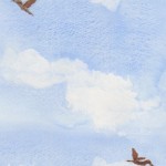 sky birds