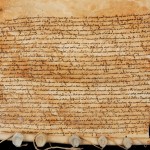 bactrian