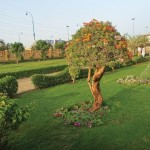 peshawar park