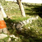 زيارت