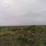karramar