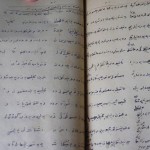 Manuscript 2
