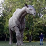 Baluchiterium