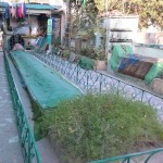 Peshawar Naugazzi