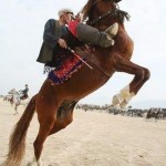 buzkashi