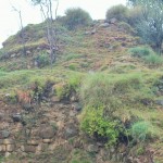 Zar Derai