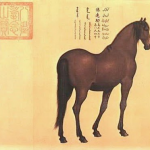 horse 4