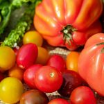 tomatoes